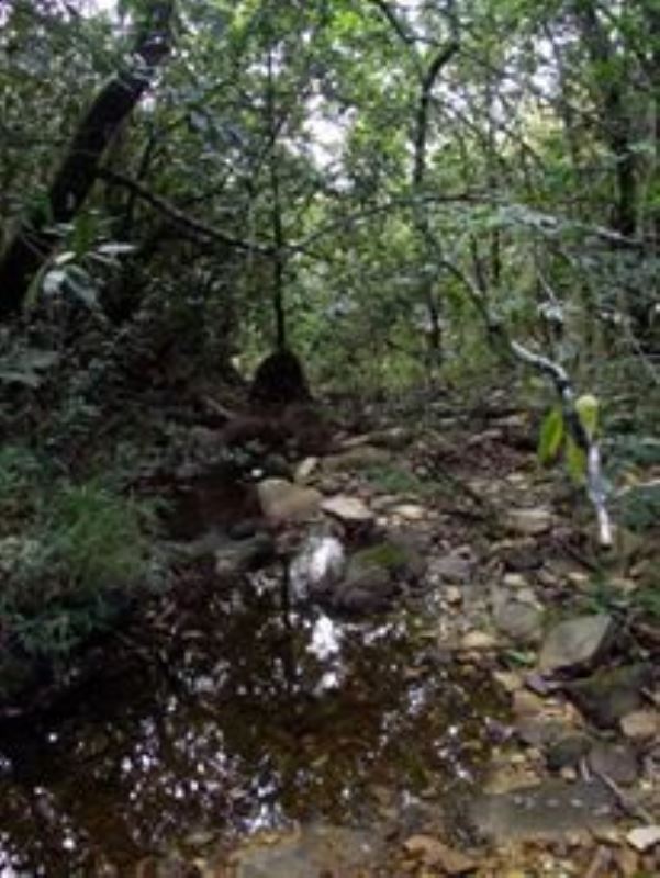 Cachoeira da Toca, Carmo do Rio Claro, MG. Foto: Eugen E. Horváth