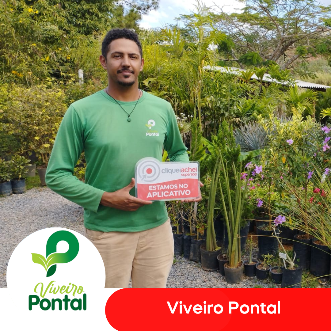 A Viveiro Pontal também está no Cliquei Achei!
Encontre mudas saudáveis e uma grande variedade de plantas e flores de qualidade para a utilização em diversos projetos, como jardinagem, paisagismo, agricultura e outros.
Acesse cliqueiachei.com/viveiropontal e saiba mais!

Obrigada equipe Viveiro pela confiança!